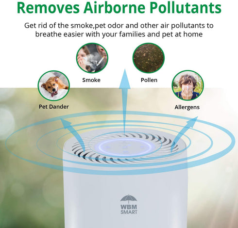 WBM Smart HEPA Filter Air Purifier for Large Rooms, Home Allergies and Odor Eliminator
